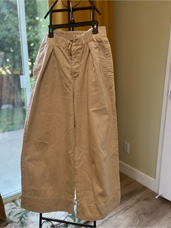 Free People Pants - Free People Wide-Leg Pleated Pants in Beige